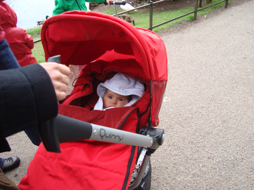 Dunham Massey Dunham Massey May 2013 Mike Bean Flickr