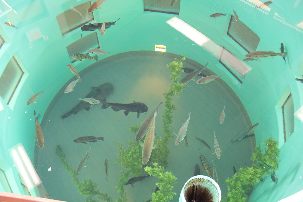 Fish Hatcheries In Pa