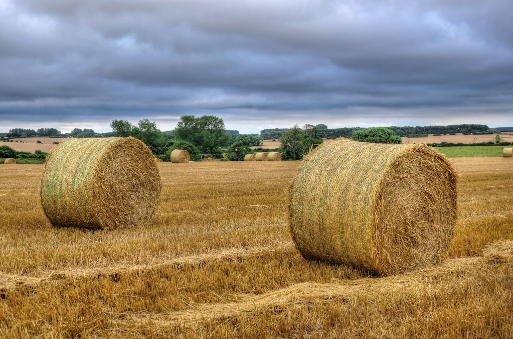 Straw bales near Langham, Norfolk We paid a flying visit t… Flickr