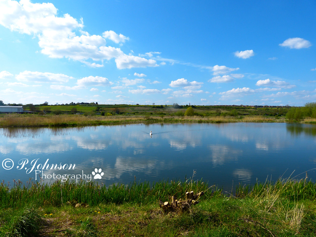 Irthlingborough Lakes Flickr