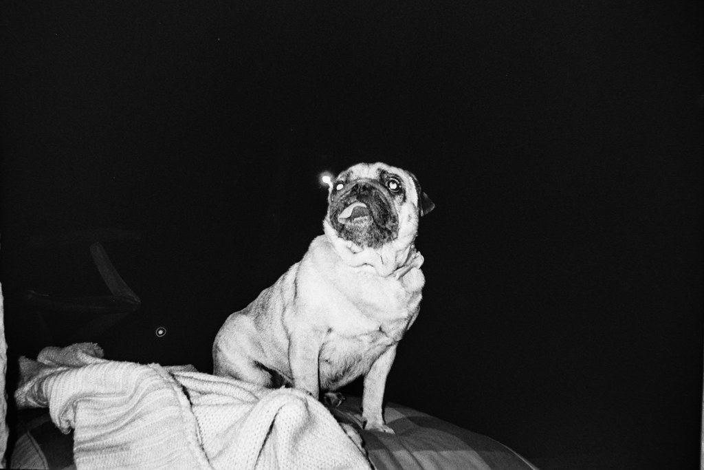 Konica Off Road Ilford XP2 Rodinal 1100 Stand Arturo Castellanos