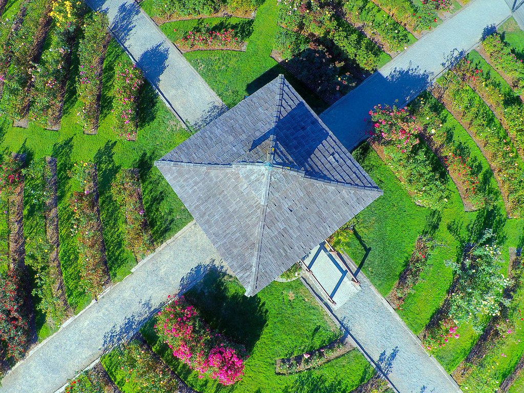 Point Defiance Rose Garden, Washington Another Dro… Flickr