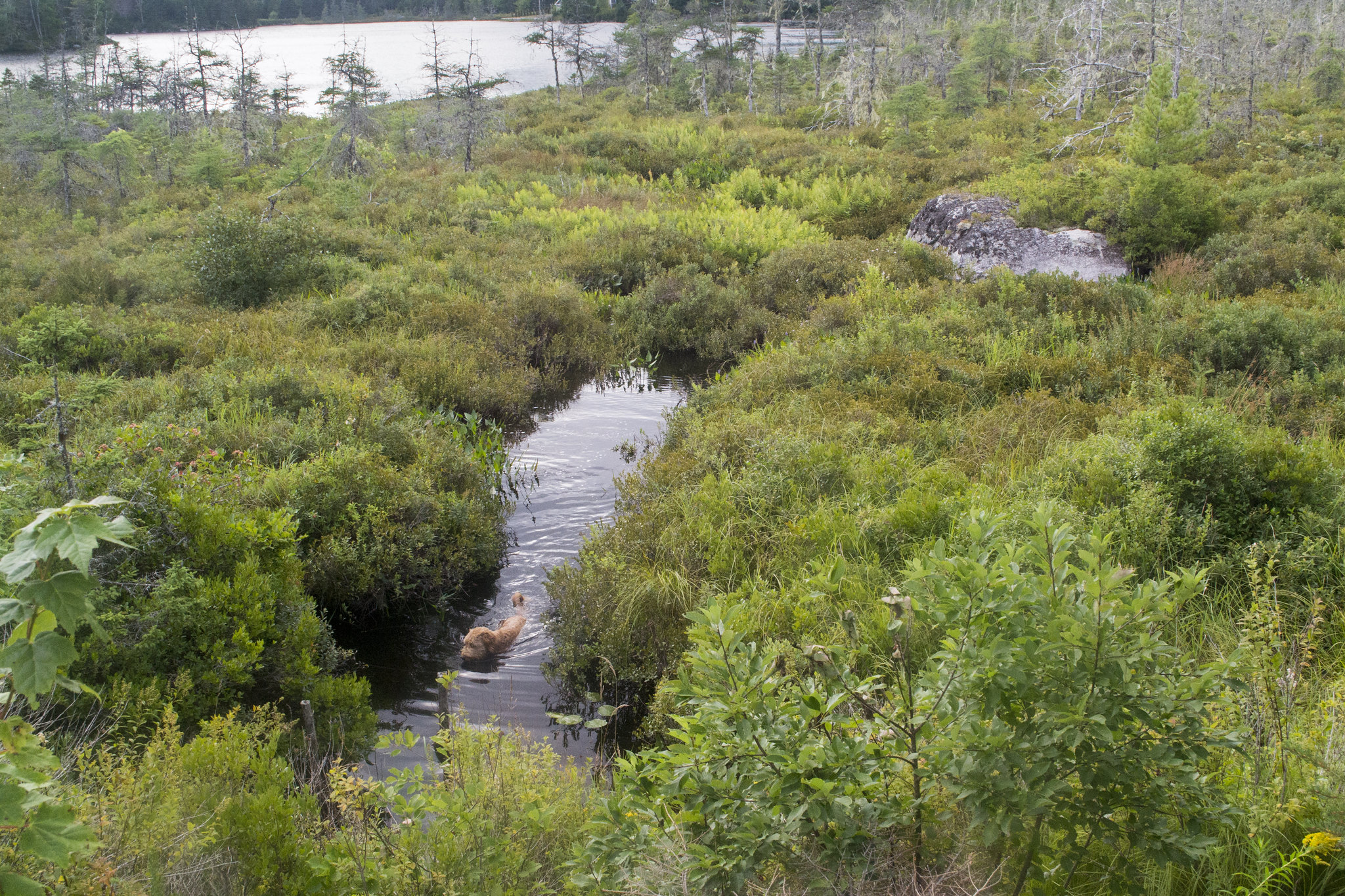 Photos The Musquodoboit Trailway, Nova Scotia