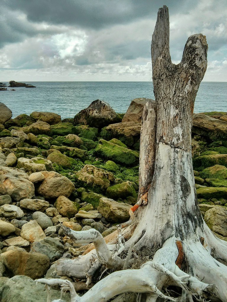 20160911_084649 John Kinsella Flickr