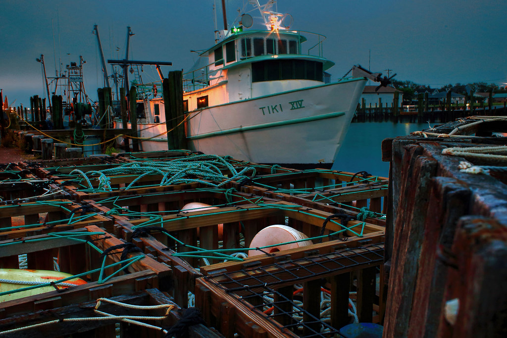 Tiki XIV Timothy Pohlhaus Flickr