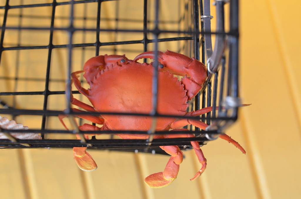 88 Boiling Crawfish & Seafood Restaurant chrisknoxdesign