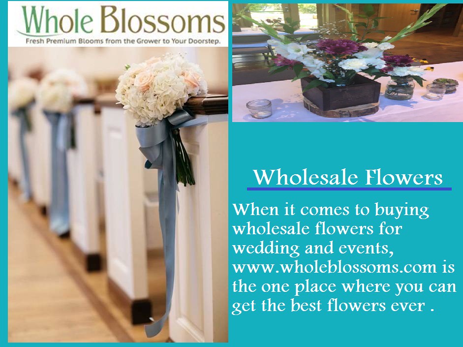 Wholesale Flowers www.wholeblossom… Flickr