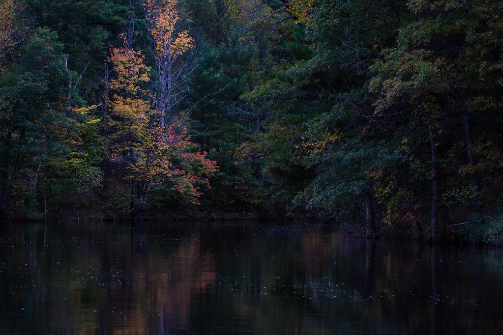 Namekagon The Namekagon River in northern Wisconsin is par… Flickr