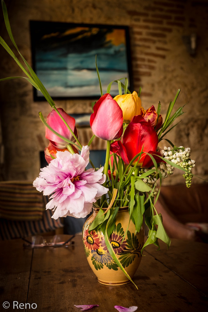 Flowers reno ki Flickr