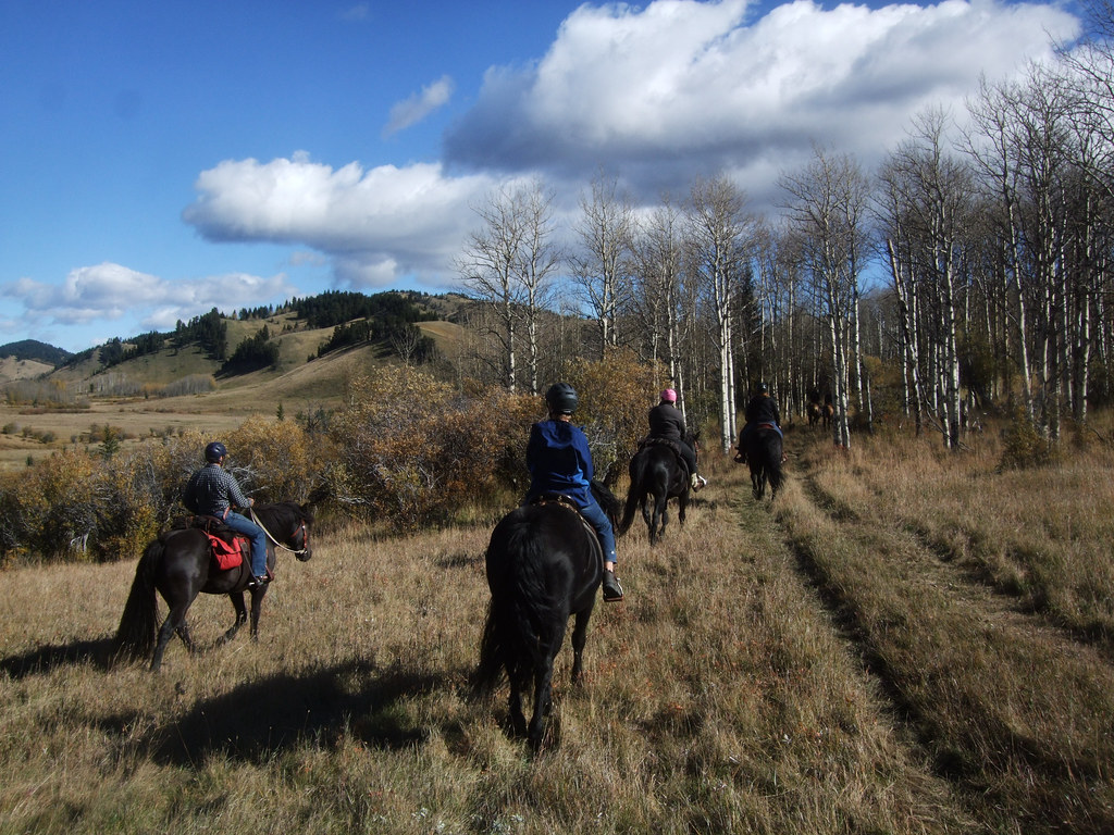 Black Creek HR Flickr