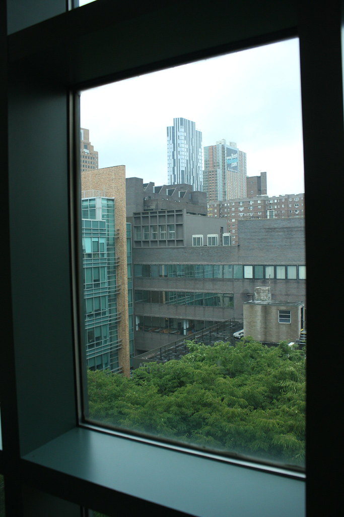 LIU BK Campus LLC Long Island University Brooklyn Flickr