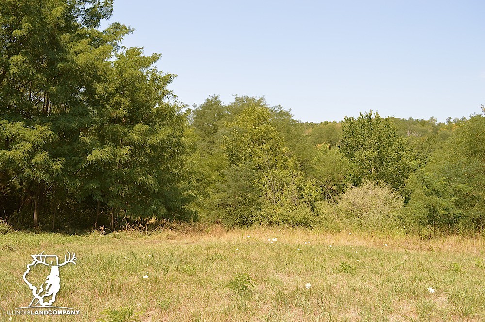 Illinois Land for Sale 40 Acres in Fulton County Flickr