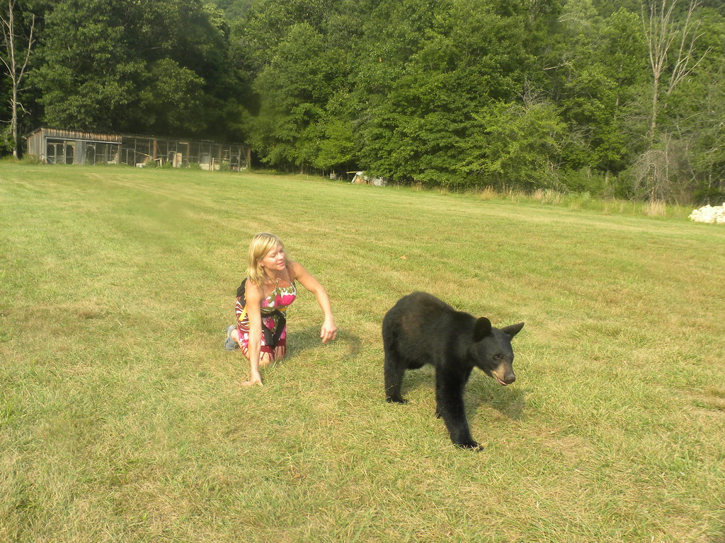 Point of View Farm and garden and Lake house 504 Brendakboyle Flickr