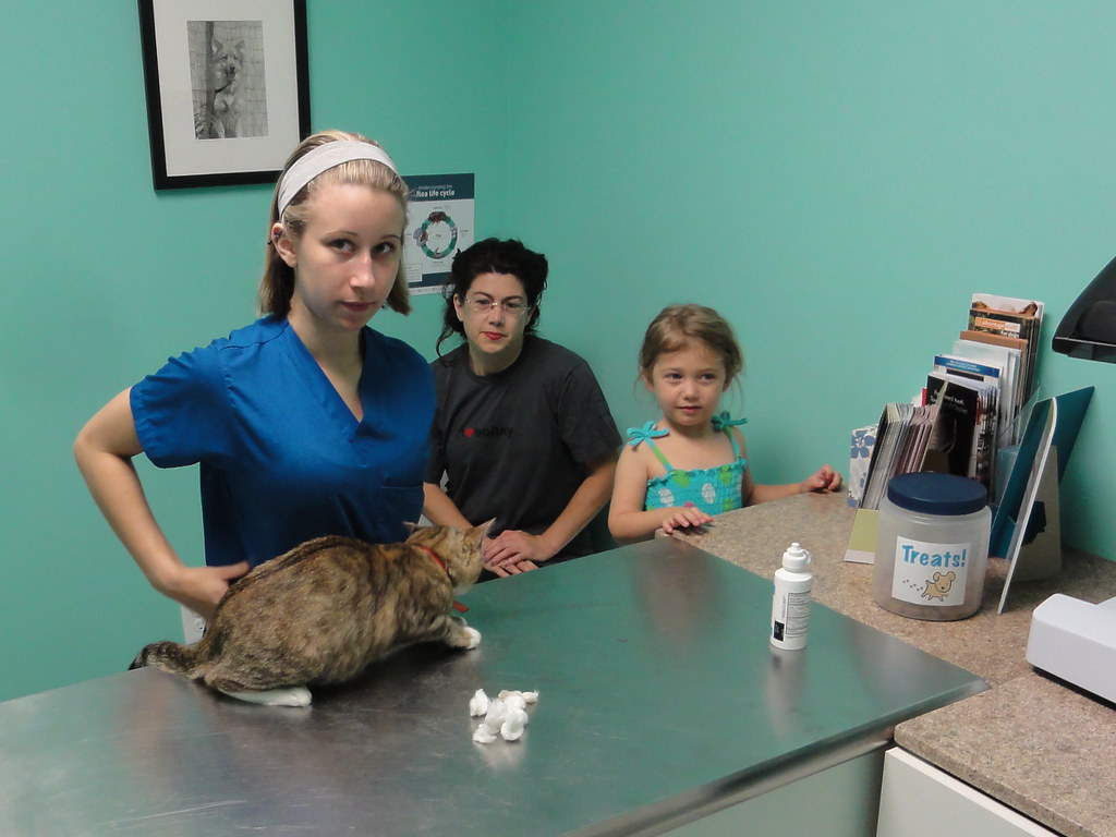 Vet We took Crybaby to the vet for her persistent eye prob… Flickr