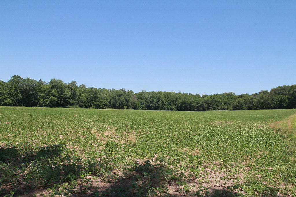 Illinois Land Company 307 Acres Knox County Illinois L… Flickr