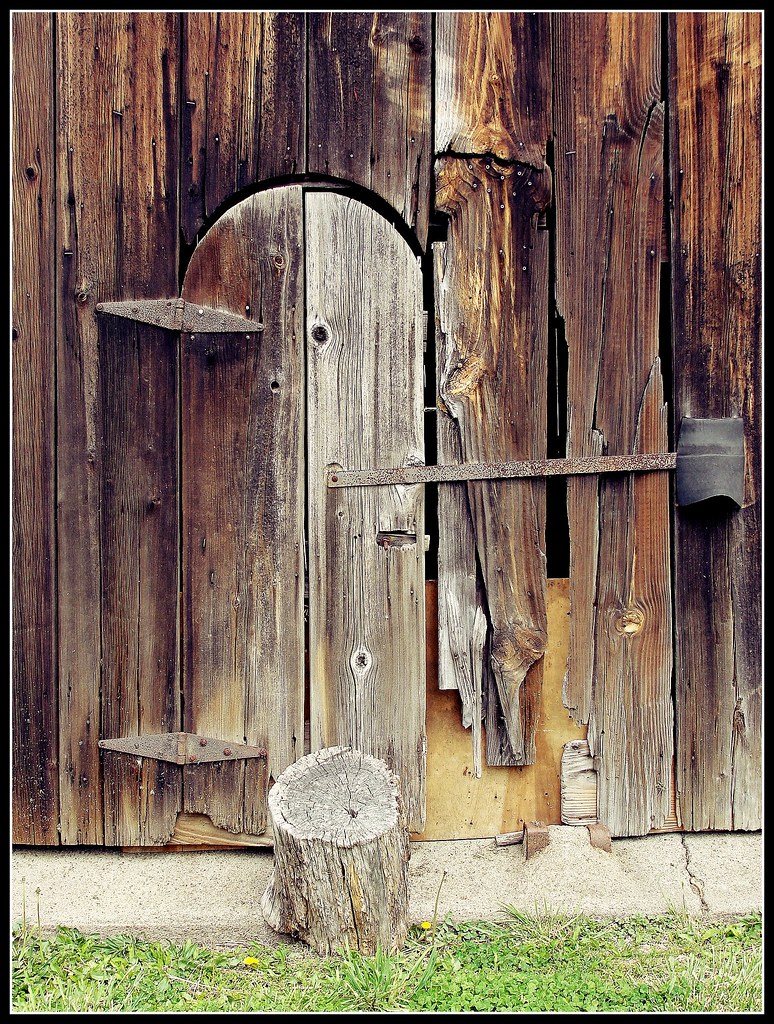Pennsylvania Lone Pine Lone Pine, Washington County, Pen… Flickr