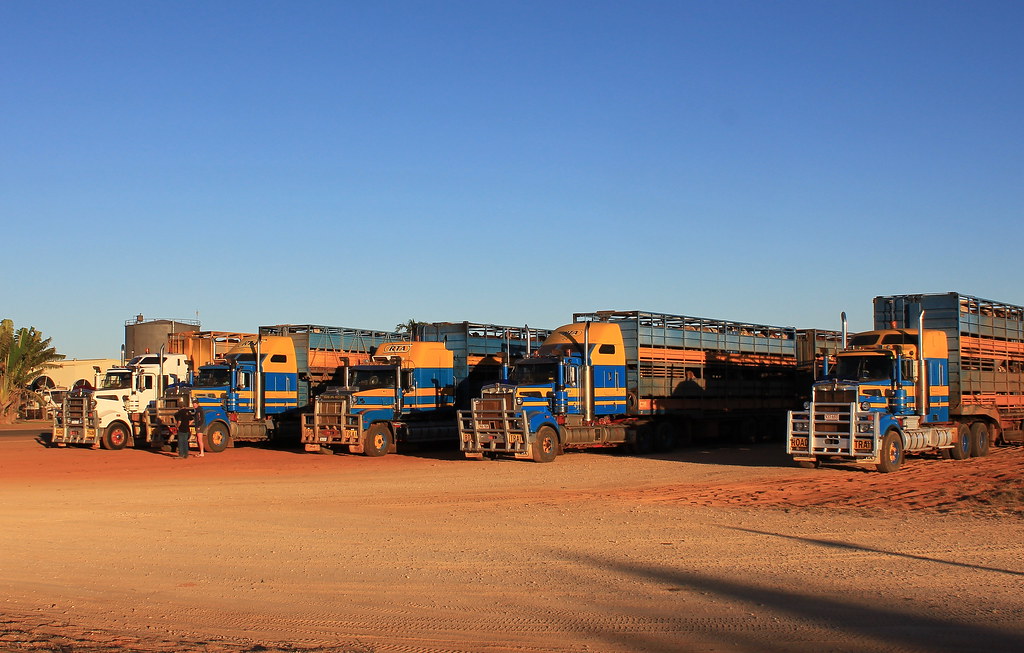 Early morning que at Broome port. Klopper 904, RTA 908, TI… Flickr