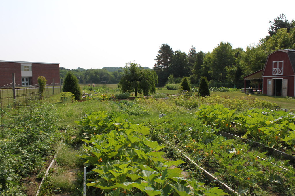 garden 016 East Greenbush Central School District Flickr
