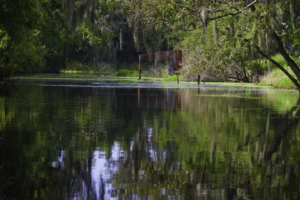 Booked On The Bayou Terrebonne Parish 422107R1204A