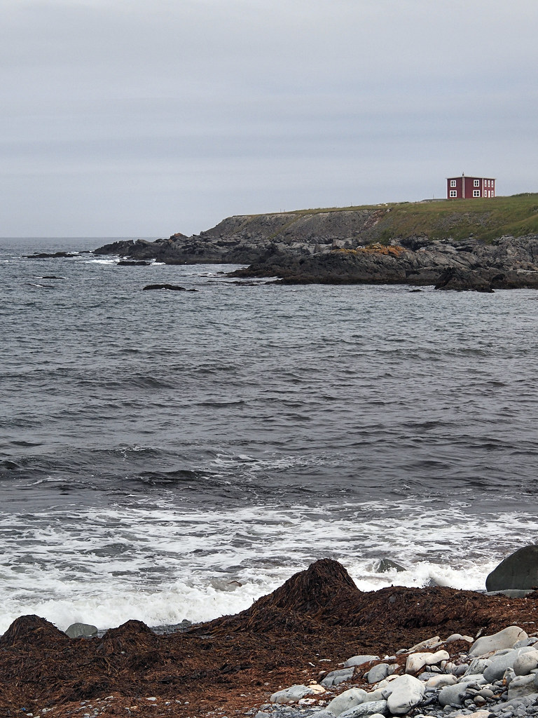Grates Cove 4 Grates Cove (48°09′43″N 52°56′04″W NST) is t… Flickr