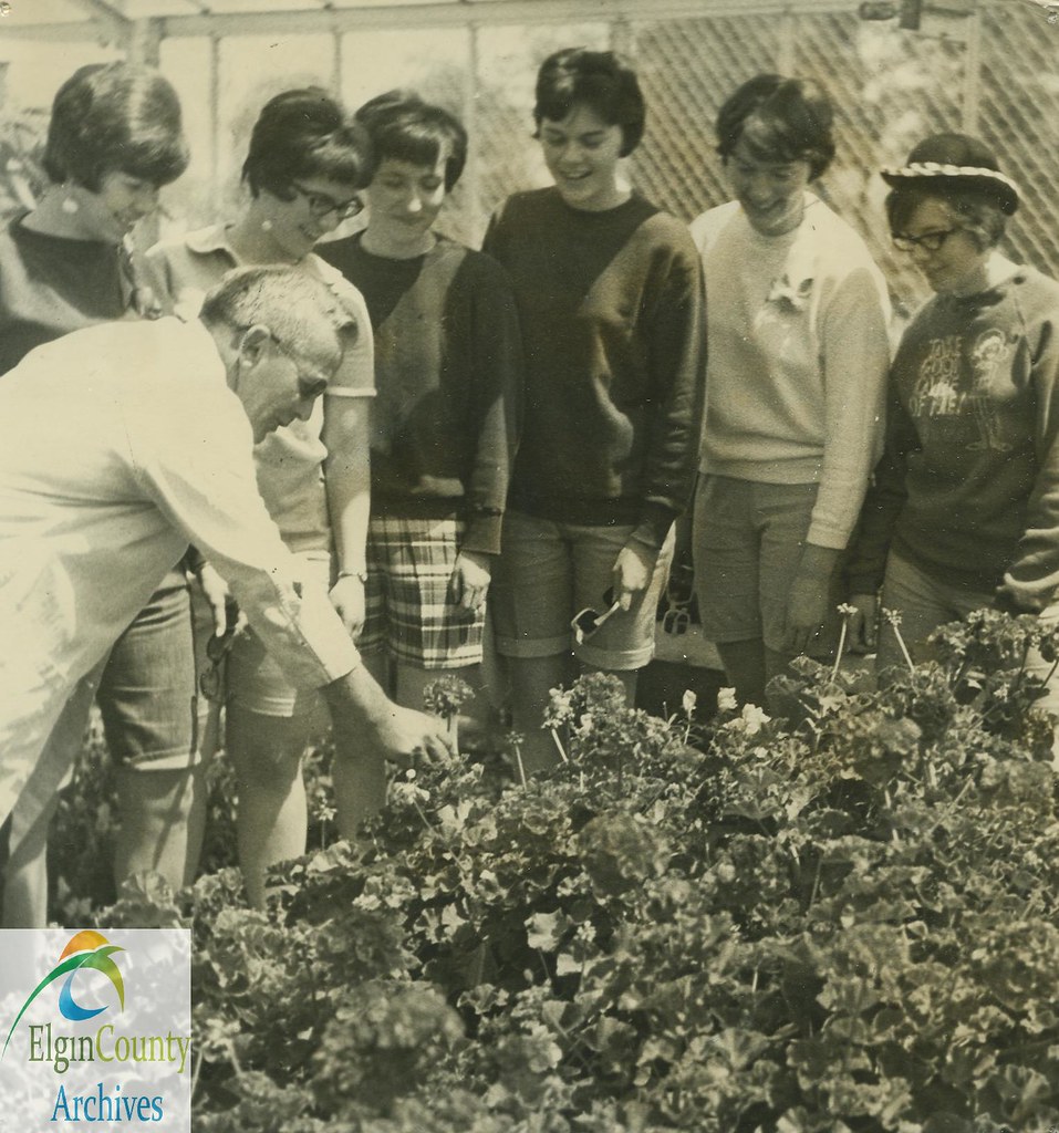 West Elgin District High School School Greenhouse, 1967 Flickr