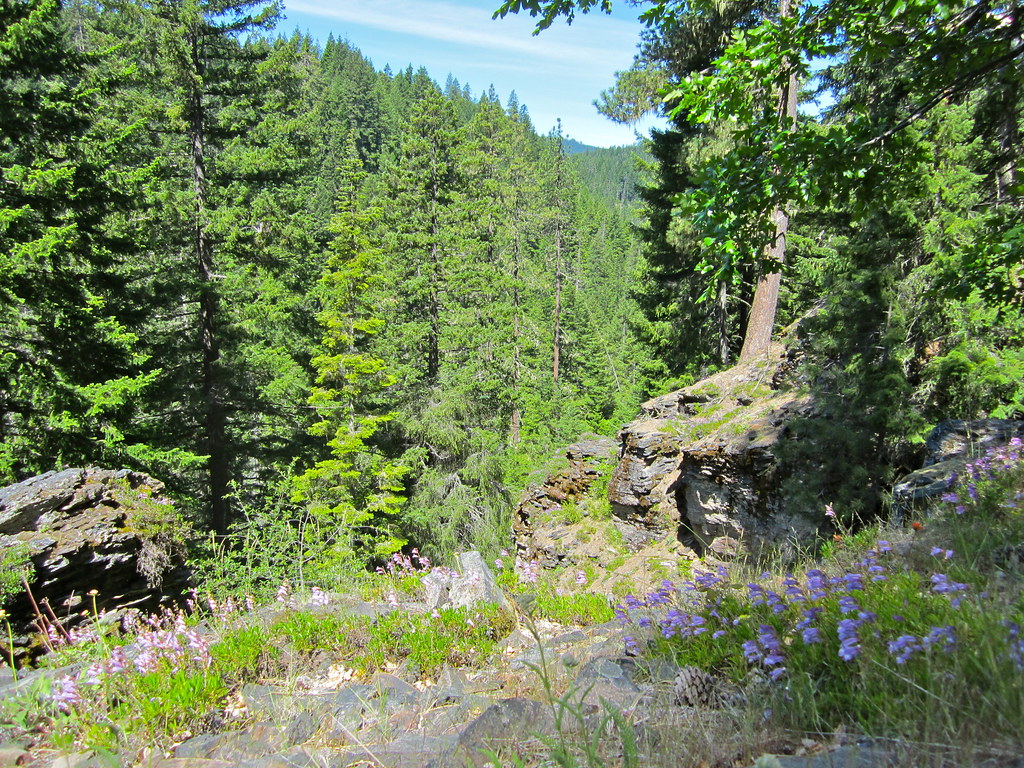 Buck Creek Trail 6152012 Flickr