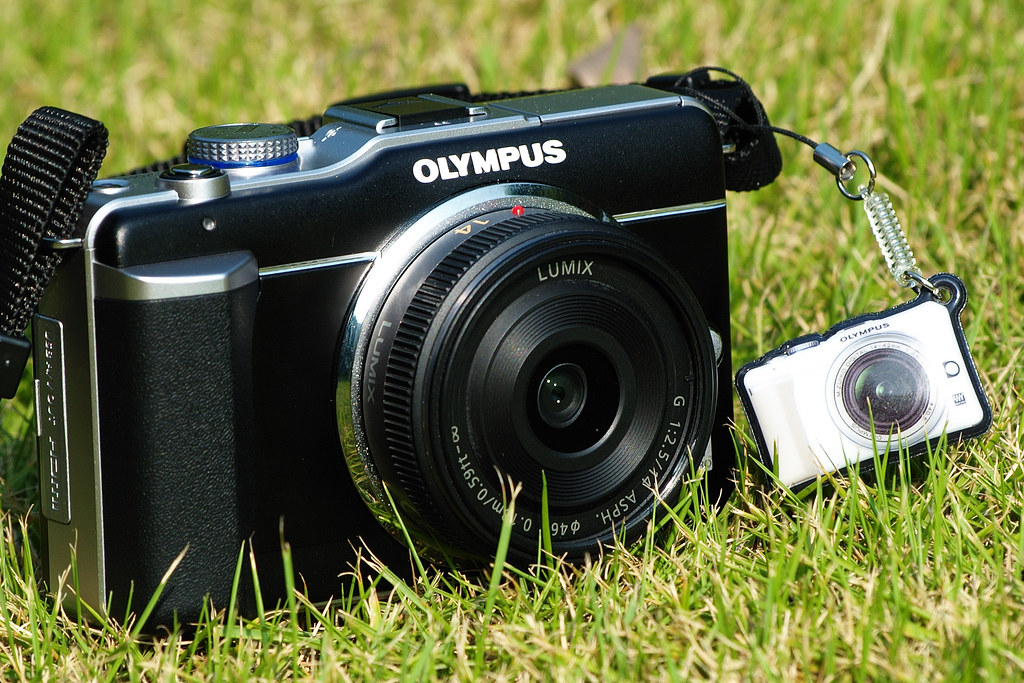 Olympus EPL1 Olympus E1 Olympus 70300 vinwim Flickr