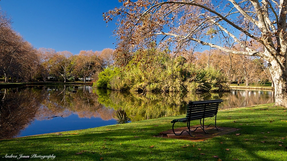 ReflectionsHyde Park AMariaJ Flickr
