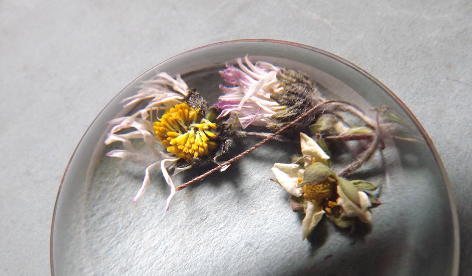 Flowers Under Glass Flickr