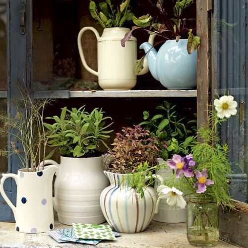_Assortedgardenjugsjohnlewis1 Cozy style merken2012 Flickr
