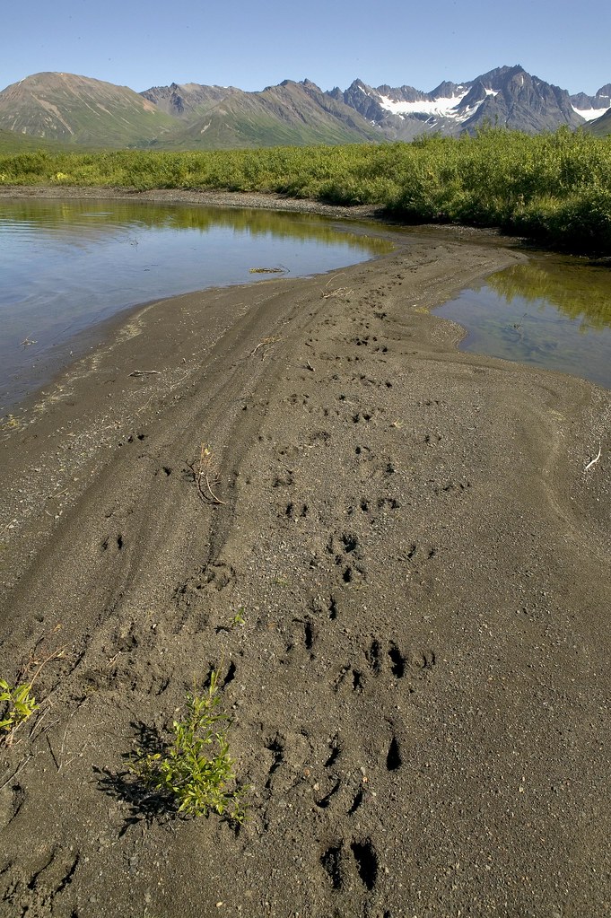 2C8X0153 Togiak National Wildlife Refuge Photo by USFWS/S… Flickr