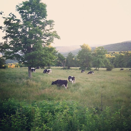 Elevation of NY79, Harpursville, NY, USA Topographic Map Altitude Map