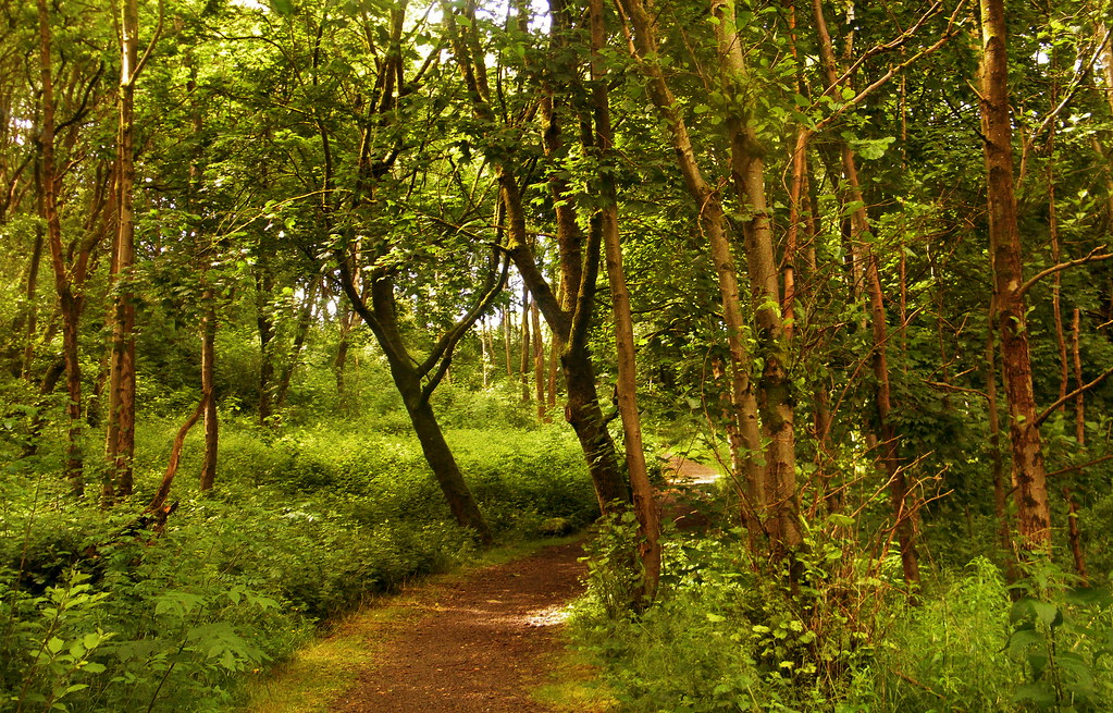 Leesbrook park Leesbrook park Oldham gordon simpson Flickr