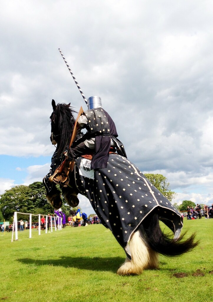 Knight Sir Lee on Harvey! A Knight on his trusty steed, Ha… Flickr