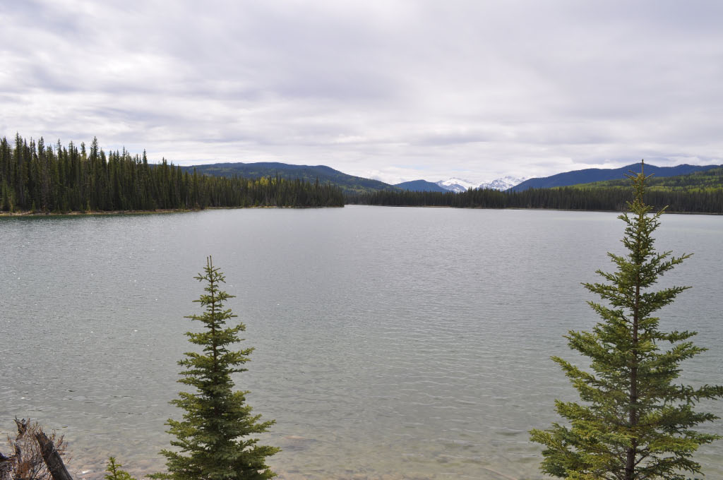 2010060110 Jarvis Lake in William A. Switzer Provincial P… Juergen