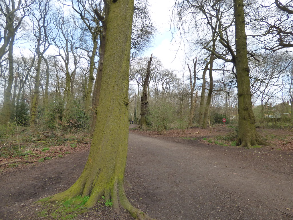 Cannon Hill Park & Holders Lane Woods Selly Park Flickr