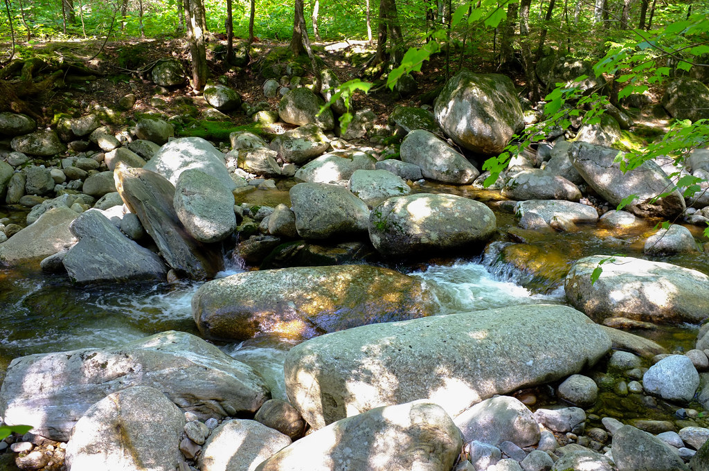 Flat Mountain Pond10 Kate Lockhart Flickr