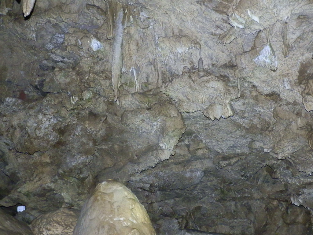 Cave Junction, OR Oregon Caves National Monument. Peter Musolino