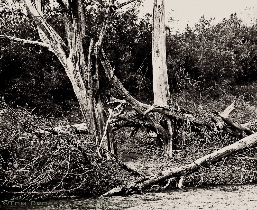After the floods, Cotter River, ACT, Australia. ©2012 Flickr