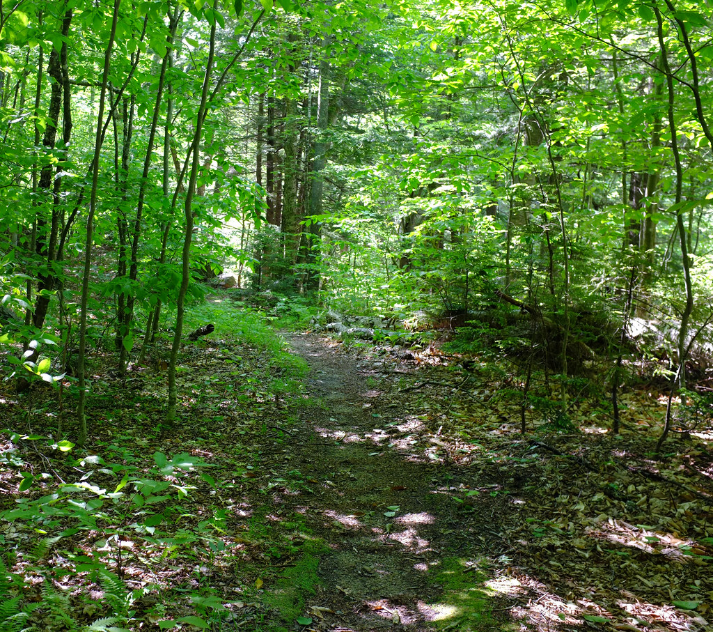 Flat Mountain Pond14 Kate Lockhart Flickr