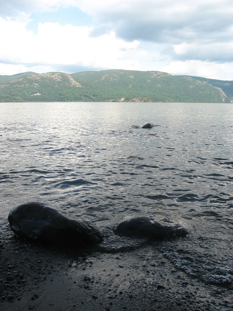 IMG_1773 Hudson River Kowawese Unique Area at Plum Point N… Flickr