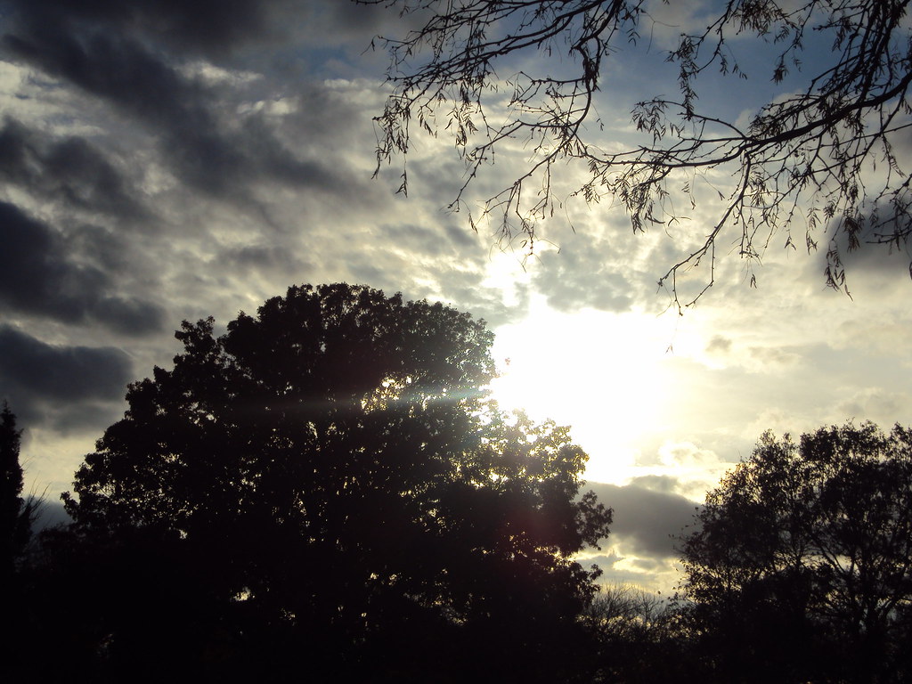 Sunny Morning Bea Flickr