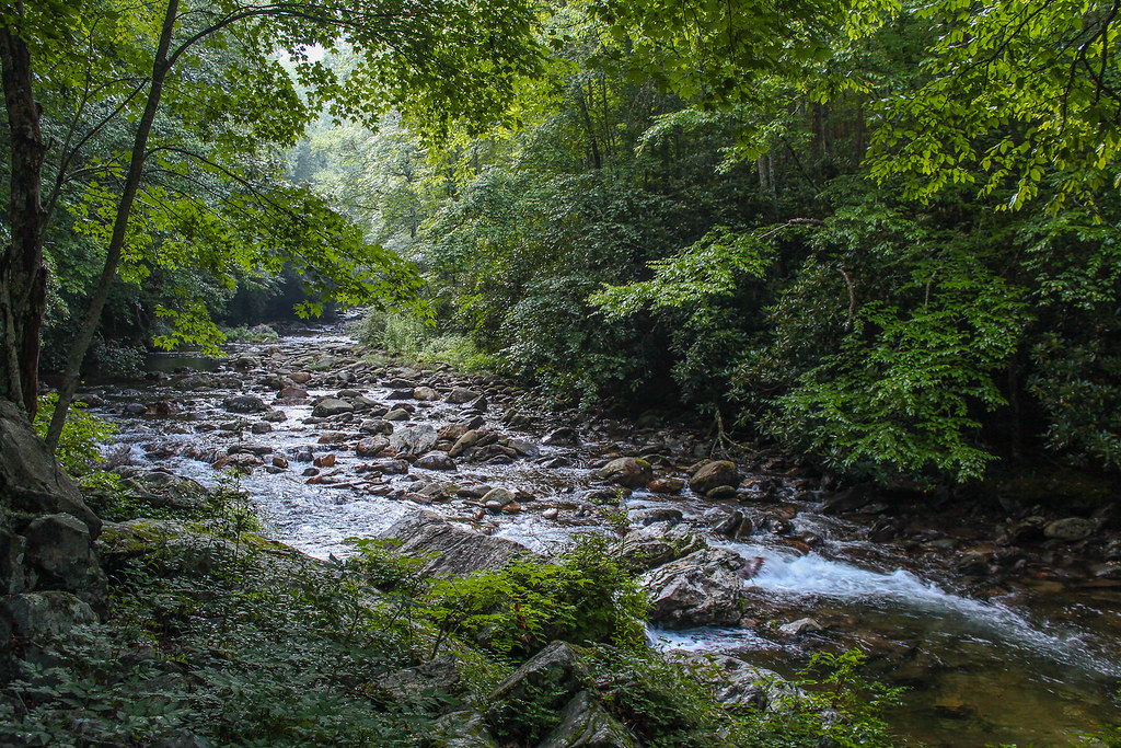 Big East Fork, Shining Rock Wilderness, North Carolina Flickr