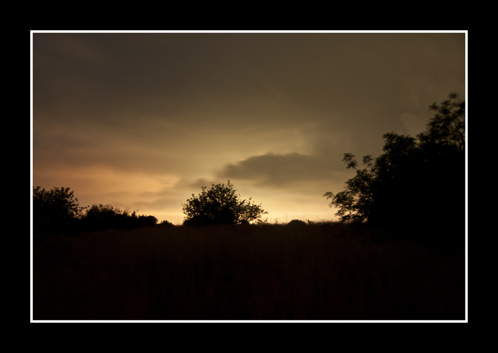 BOSC DE LA MARQUESA DE NIT 1 josep salvia i boté Flickr