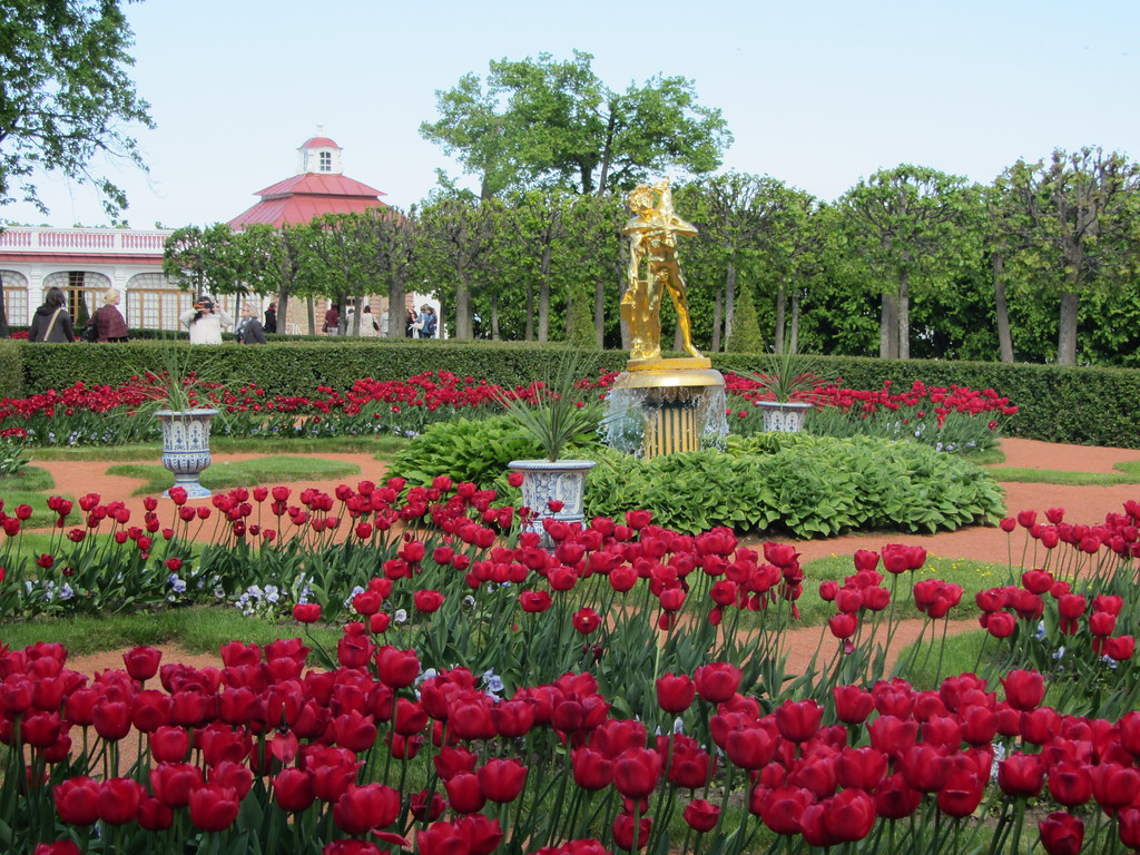 Tulip Garden, Peterhof Matthew Goulding Flickr