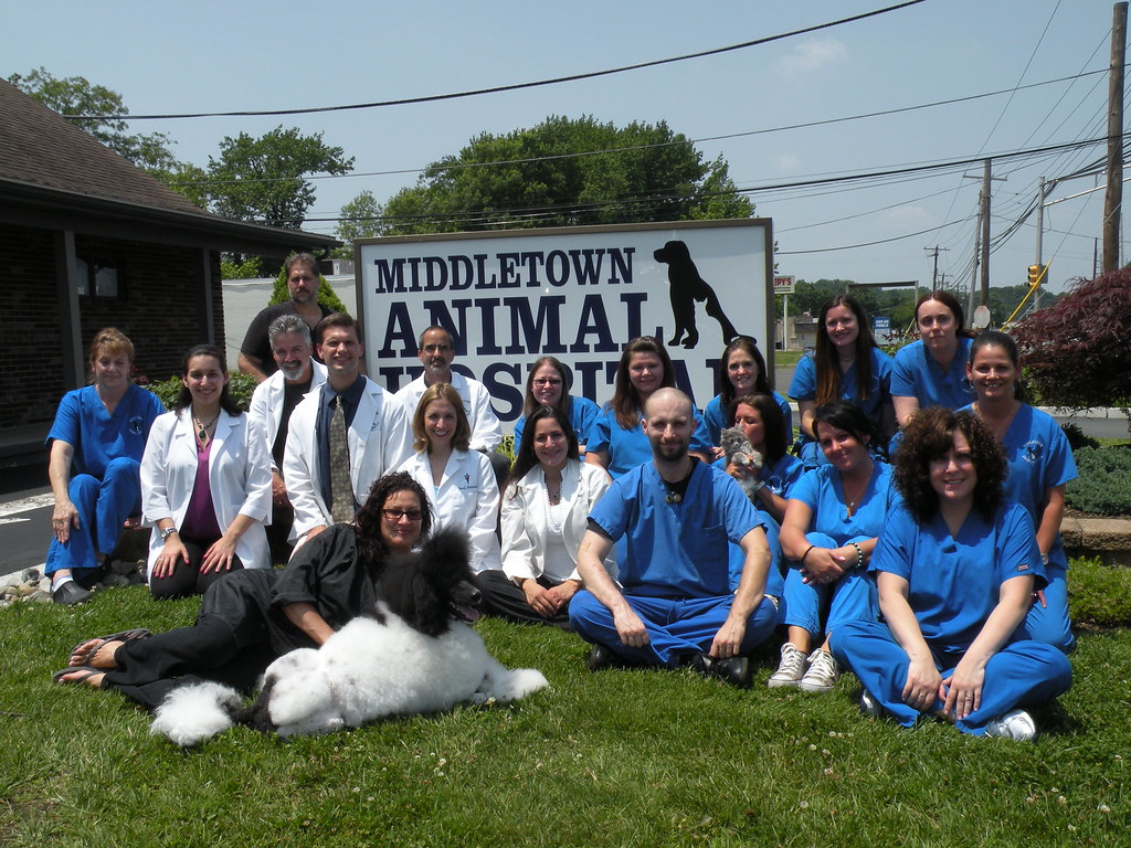 Picture 105 Staff of Middletown Animal Hospital Middletown Animal Hospital Flickr