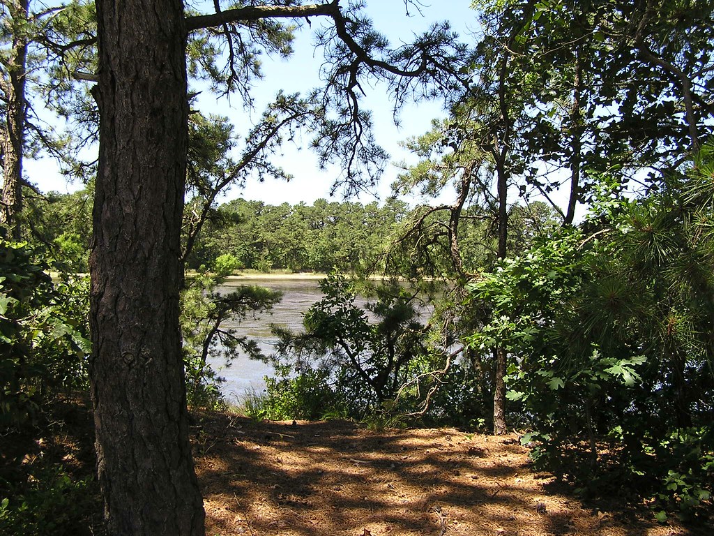 Berkeley Royal Pines Hotel (Crystal Lake Nursing Home) Flickr