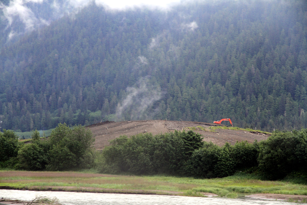 Juneau Dump With Bald Eagles Miss Shari Flickr
