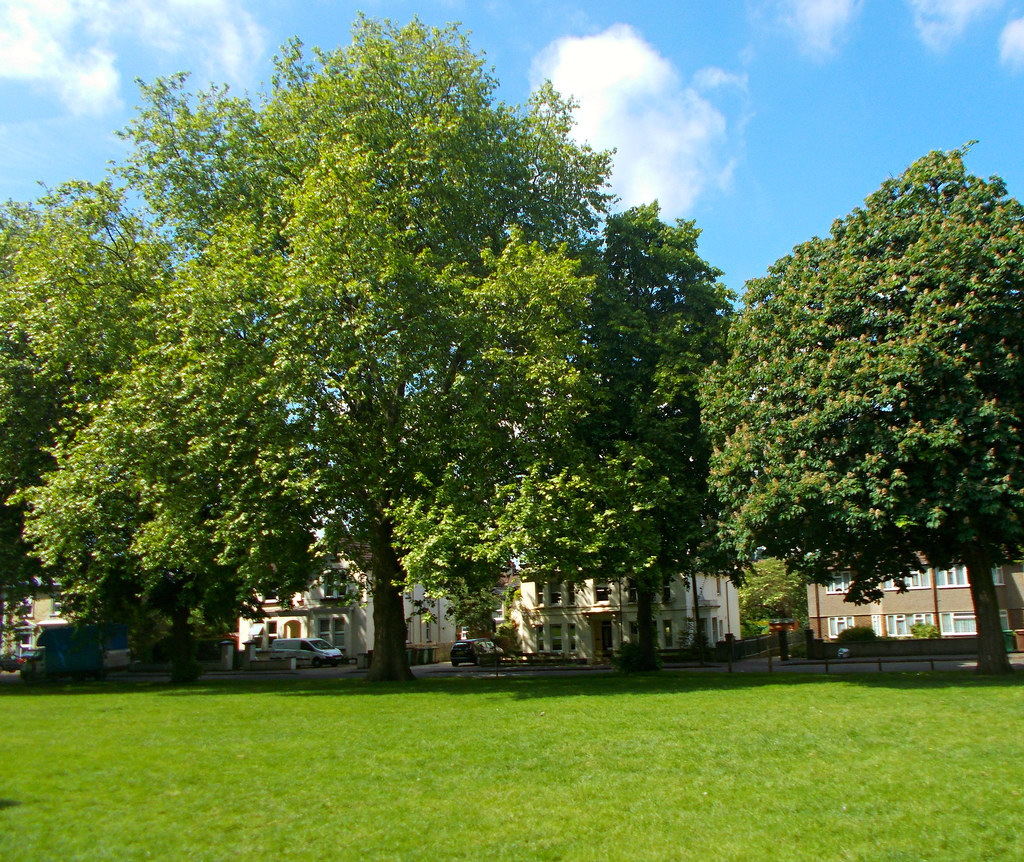 Sutton Green, SUTTON, Surrey, Greater London (3) Tony Monblat Flickr