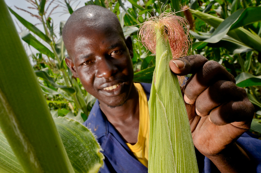 Kisumu 9 An maize farmer in Kisumu, Kenya, who has signed … Flickr